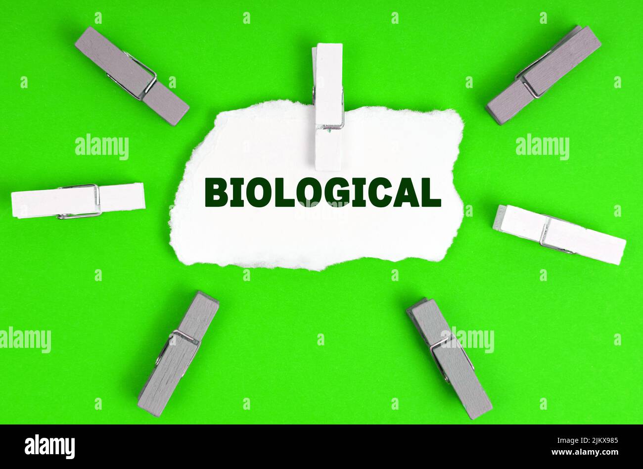 Ökologisches Konzept. Wäscheklammern und ein Blatt Papier mit der Aufschrift- Biological Stockfoto