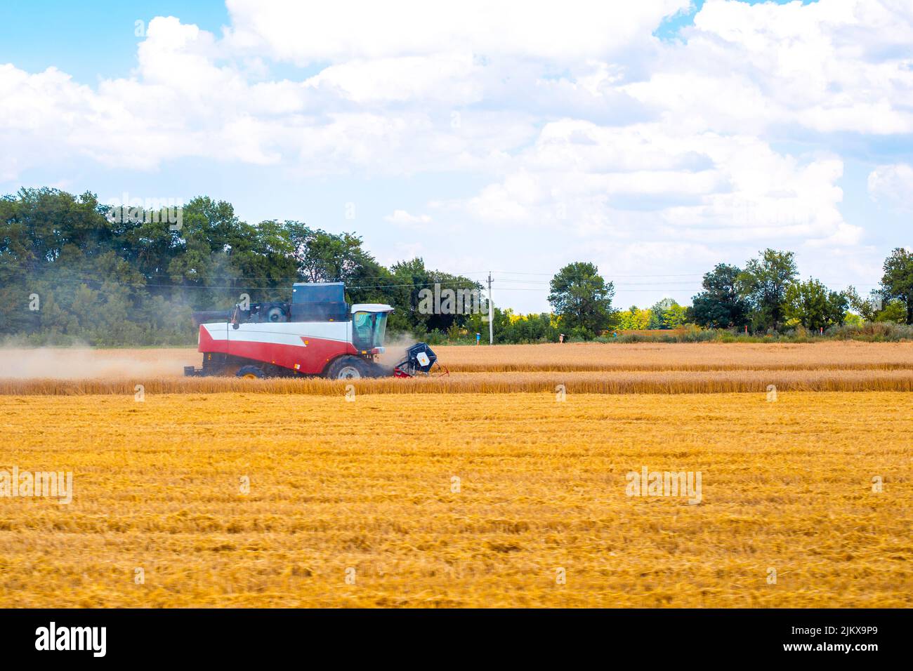 Der Mähdrescher fährt durch das Feld und erntet an einem sonnigen Tag Weizen. Stockfoto