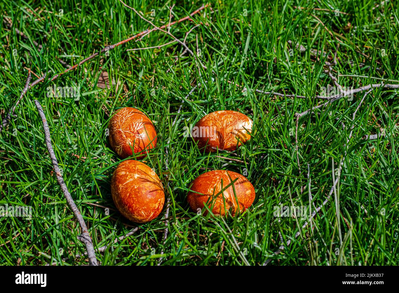 Ostereier natürlich gefärbt mit Zwiebelfellen Stockfoto