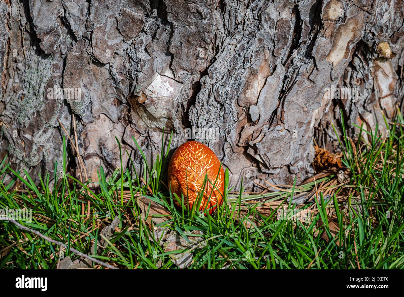 Ostereier natürlich gefärbt mit Zwiebelfellen Stockfoto