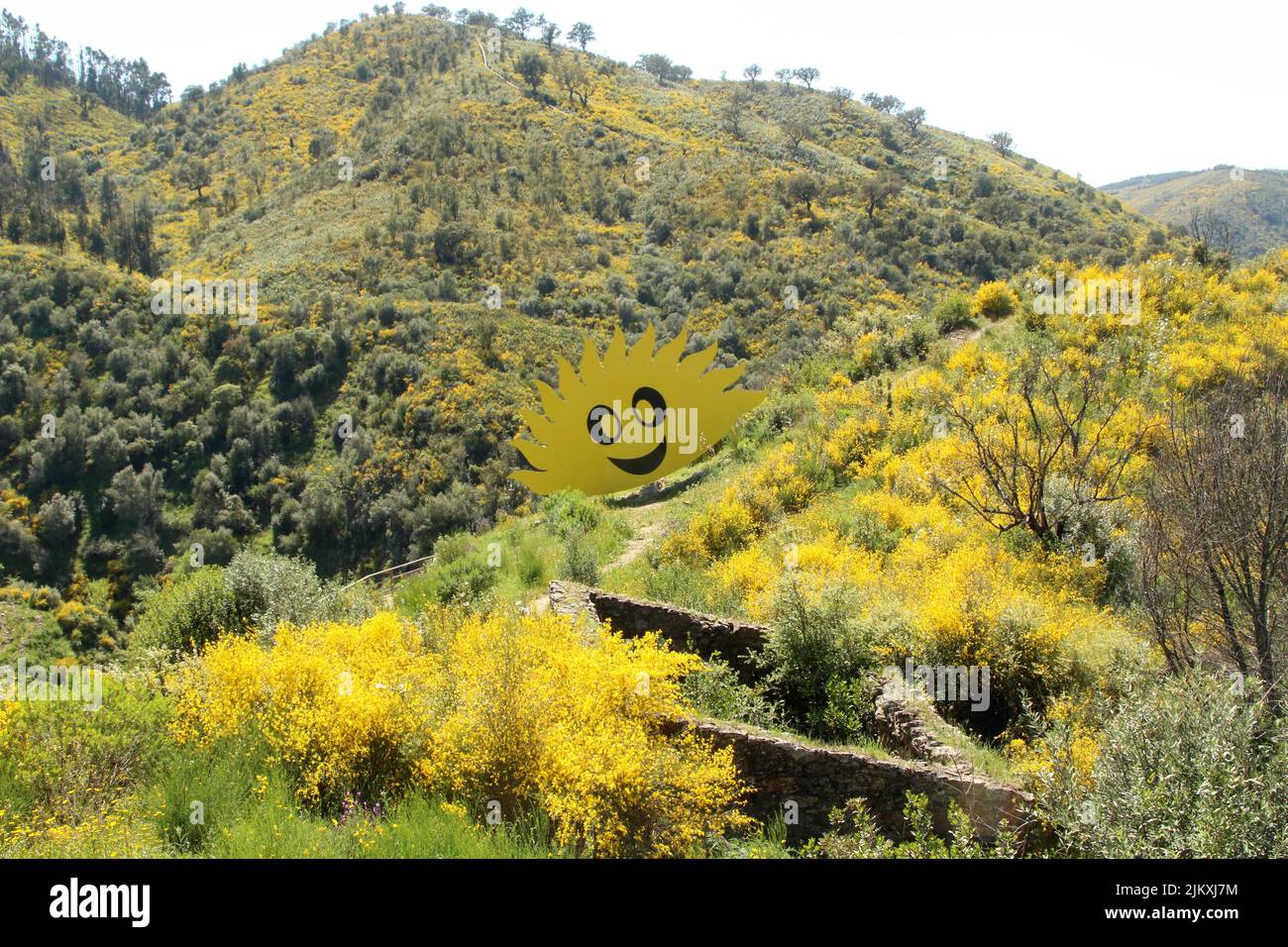 Die wunderschöne Landschaft mit grünen Hügeln und gelben Blumen und der lächelnden Sonne. Stockfoto