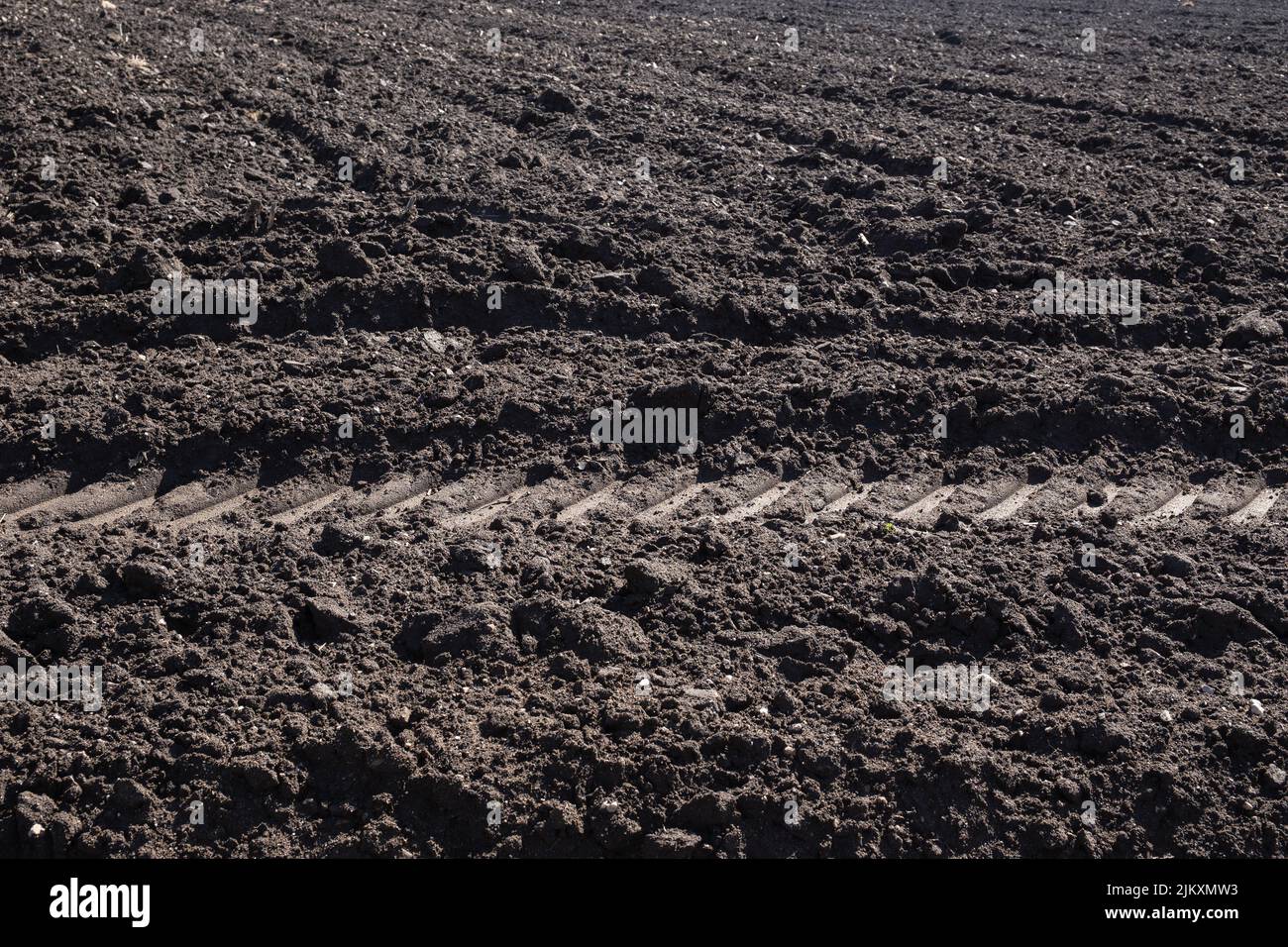 Kultivierter gepflügelter Boden mit Reihen und Traktor-Fußabdruck. Struktur des landwirtschaftlichen Hintergrunds Stockfoto