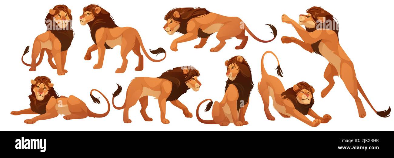 Lion wild afrikanischen Tier isoliert gesetzt. Stolze mächtige löwe-König, Säugetier, wilde Dschungelkatze in verschiedenen Posen stehend, sitzend, liegend, jagend, dehnenden Körper, zoo Park Raubtier, Vektor-Illustration Stock Vektor