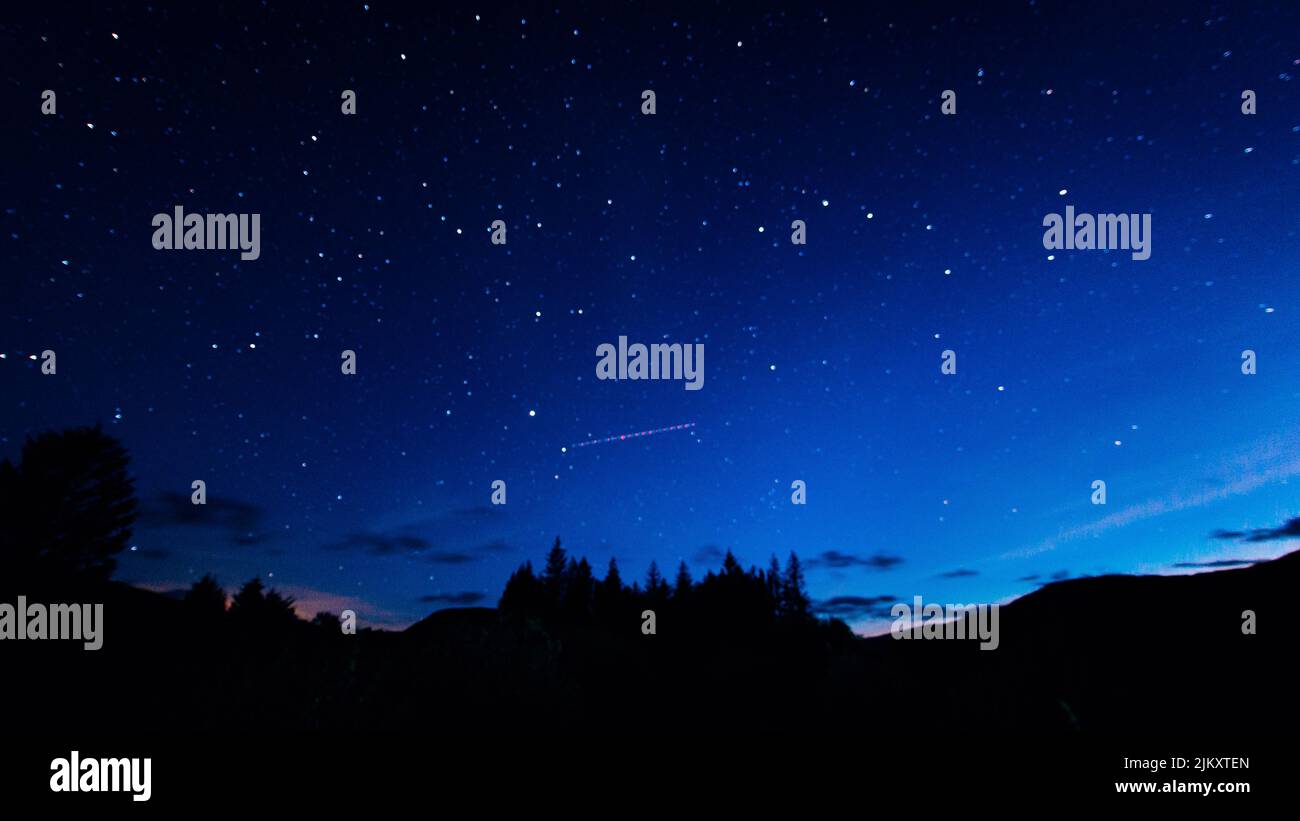 Galloway Forest Dark Sky Park. Blick auf den Nachthimmel, Sterne und einen Satelliten, mit Pinien im Vordergrund Stockfoto