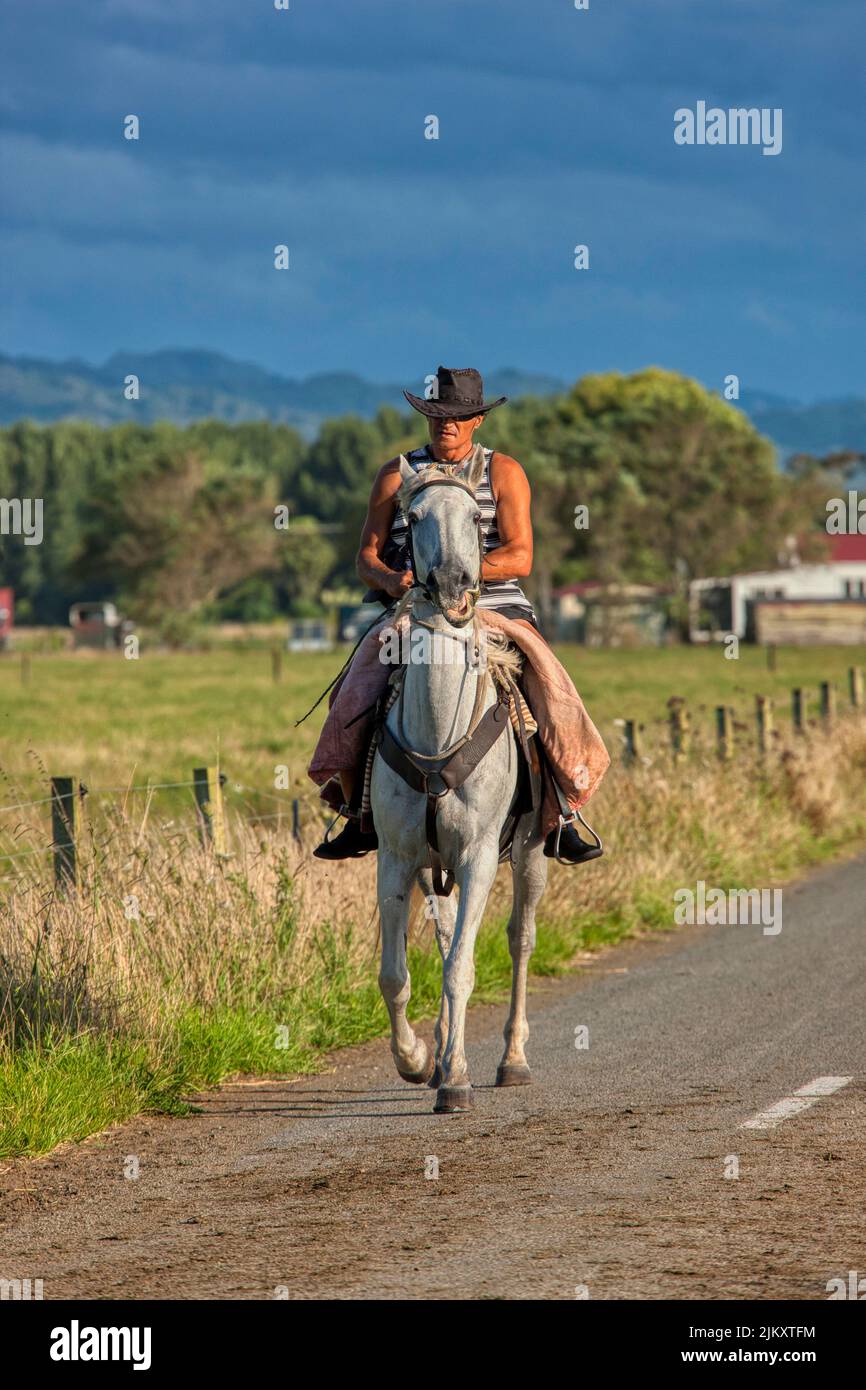 Lokaler Mann, der auf einem weißen Pferd auf einer Straße in der Nähe von East Cape, Neuseeland, reitet Stockfoto