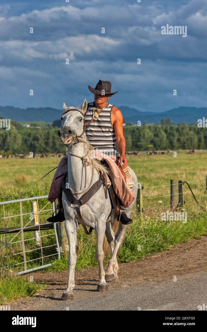 Lokaler Mann, der auf einem weißen Pferd auf einer Straße in der Nähe von East Cape, Neuseeland, reitet Stockfoto