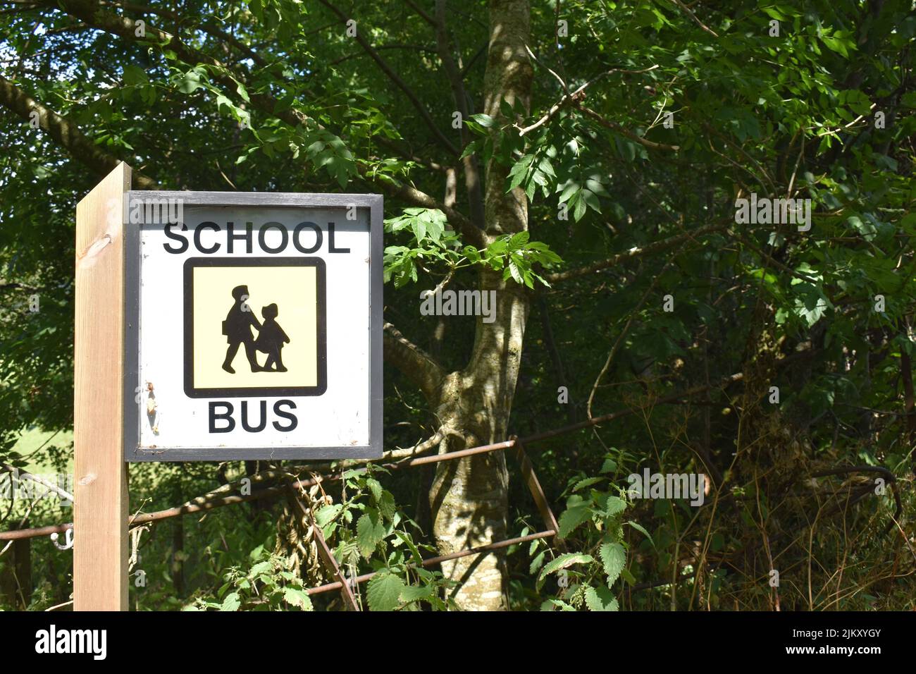 Schulbus-Schild in einer ländlichen Gegend mit Copyspace. Stockfoto