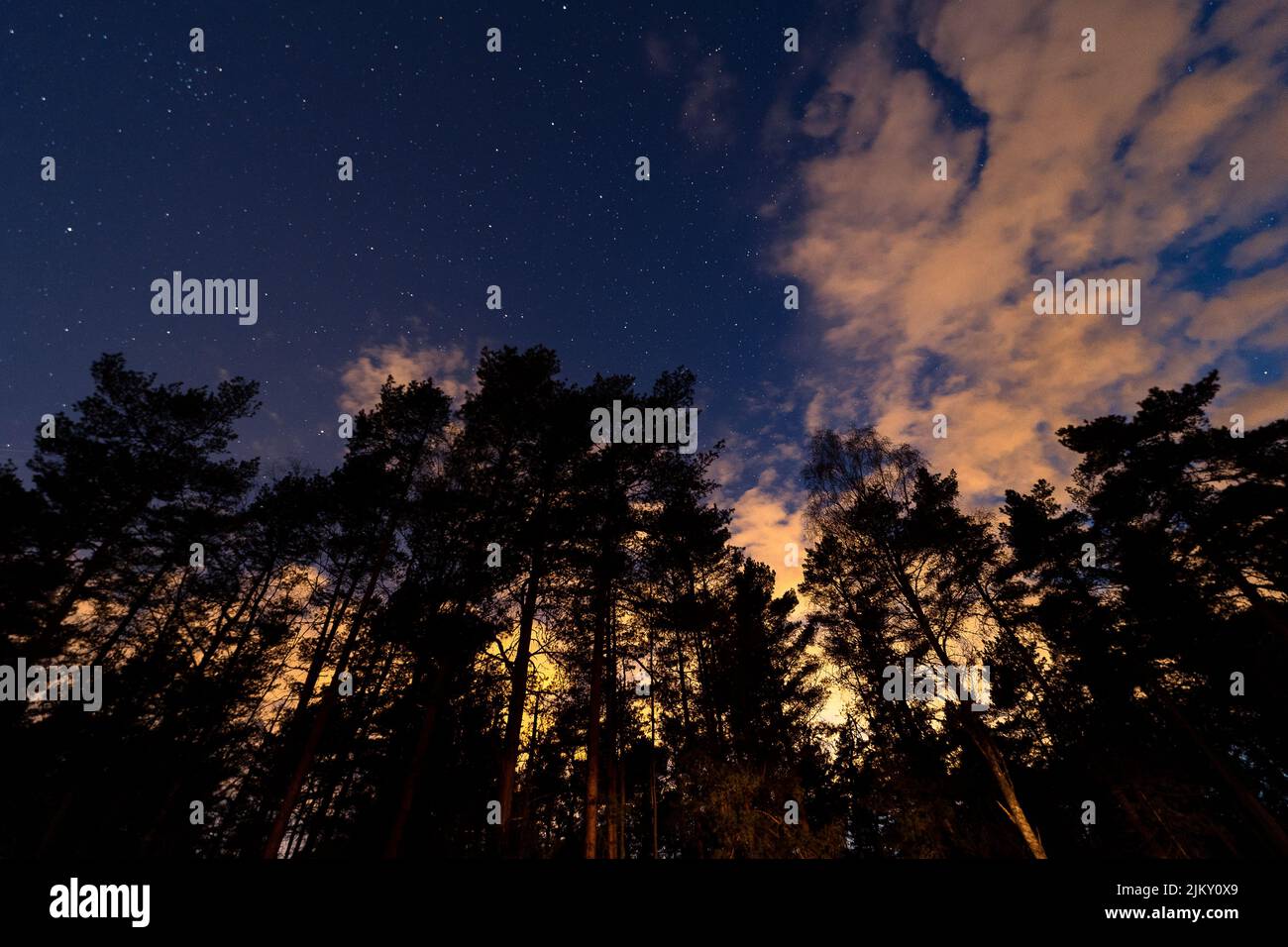 Ein niedriger Winkel von Bäumen gegen Sonnenuntergang, wolkiger, farbenfroher und sternenübersäter Nachthimmel Stockfoto