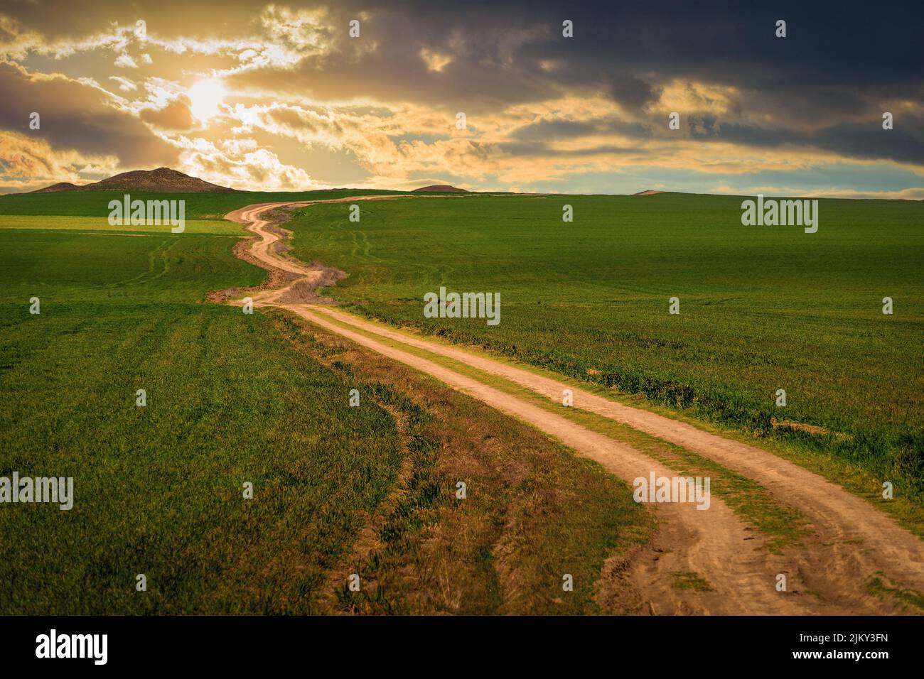Eine Straße, umgeben von grünen Grasfeldern in Dobruja, Rumänien Stockfoto