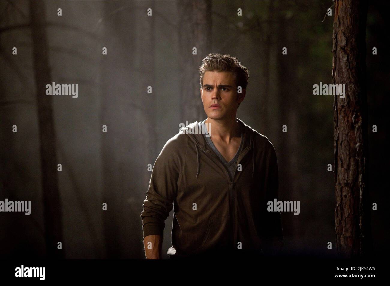 PAUL WESLEY, The Vampire Diaries: Saison 2, 2010 Stockfoto