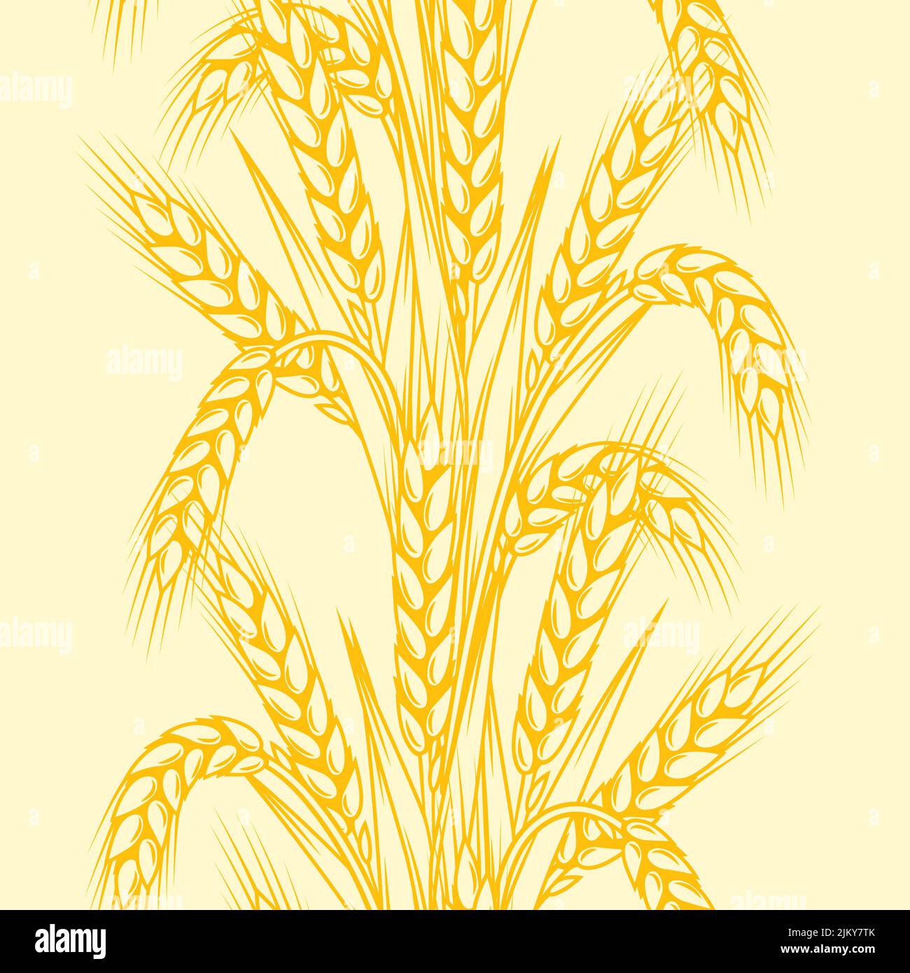 Nahtloses Muster mit Weizen. Landwirtschaftliches Bild mit natürlichen goldenen Ohren von Gerste oder Roggen. Stock Vektor