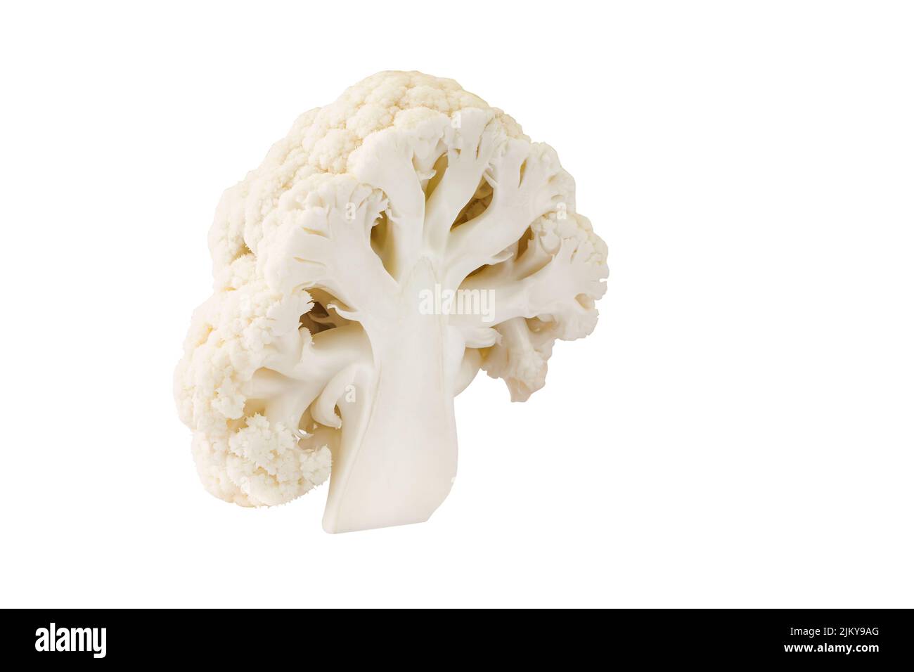 Geschnitten in der Hälfte Blumenkohl Gemüse isoliert auf weißem Hintergrund, Superfoods und eine Diät von Kreuzblütler Gemüse für Gesundheit und Gewicht los Stockfoto