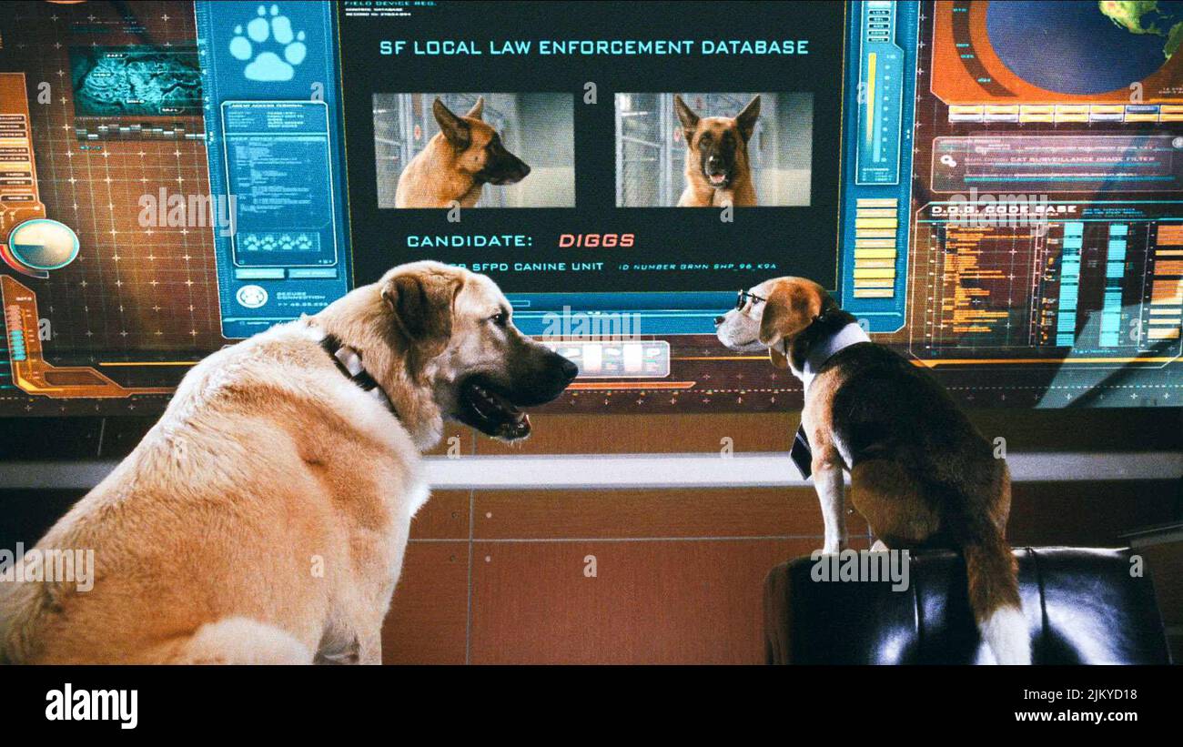 cats and dogs die rache der kitty kahlohr