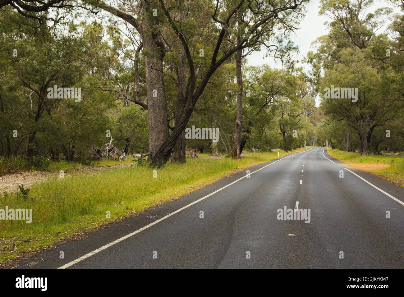 Erkunden Sie Australien und das Outback Stockfoto