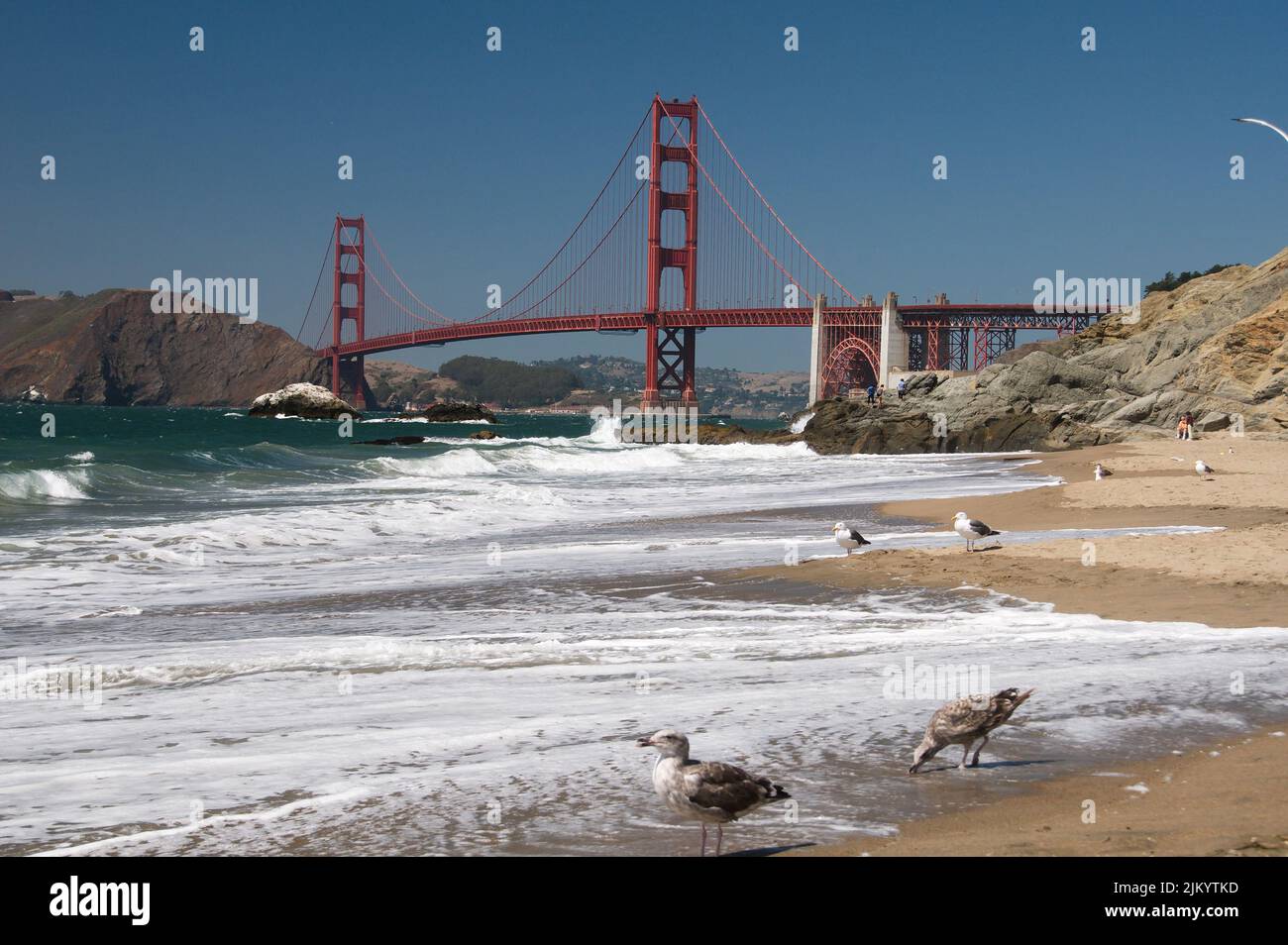 Eine wunderschöne Aufnahme der berühmten San Francisco Golden Gate Bridge in Kalifornien vom Strand aus mit Möwen Stockfoto