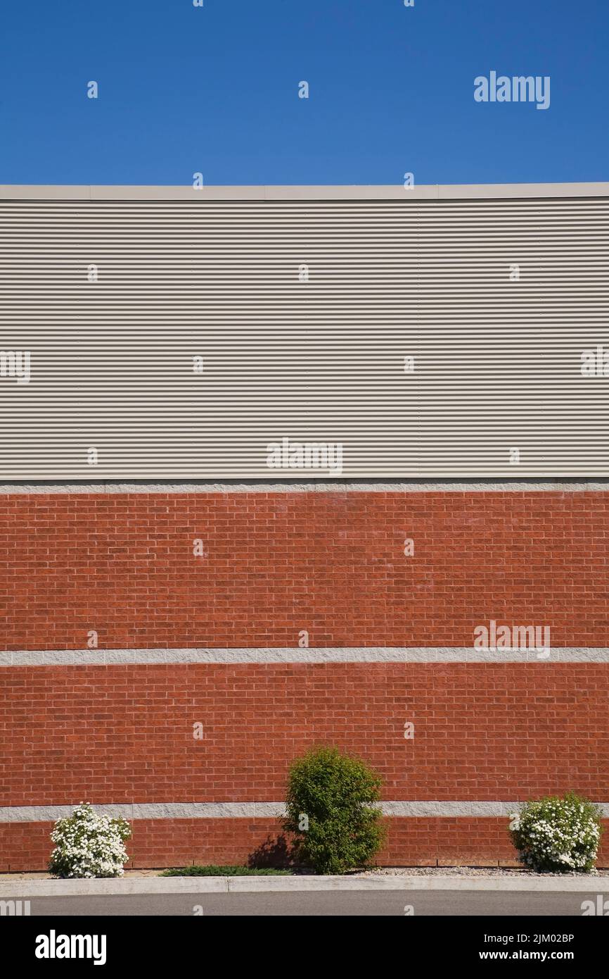 Blühende Sträucher an der Grenze neben der Außenmauer des Industriegebäudes im Frühjahr. Stockfoto