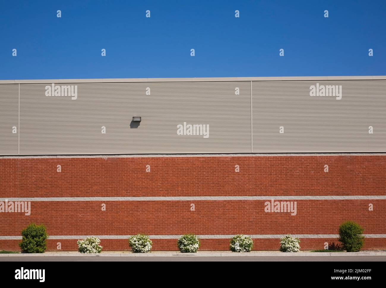 Blühende Sträucher an der Grenze neben der Außenmauer des Industriegebäudes im Frühjahr. Stockfoto