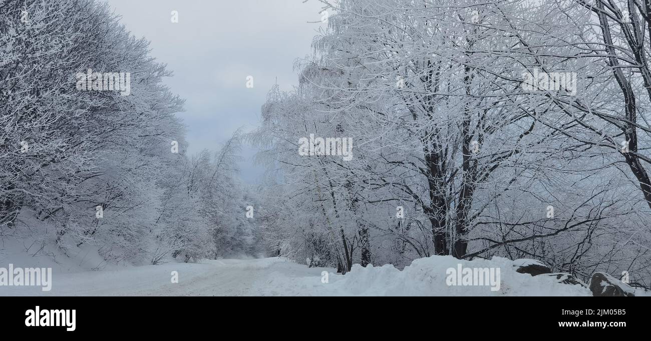 Fernsehturm des Vitosha-Berges Stockfoto