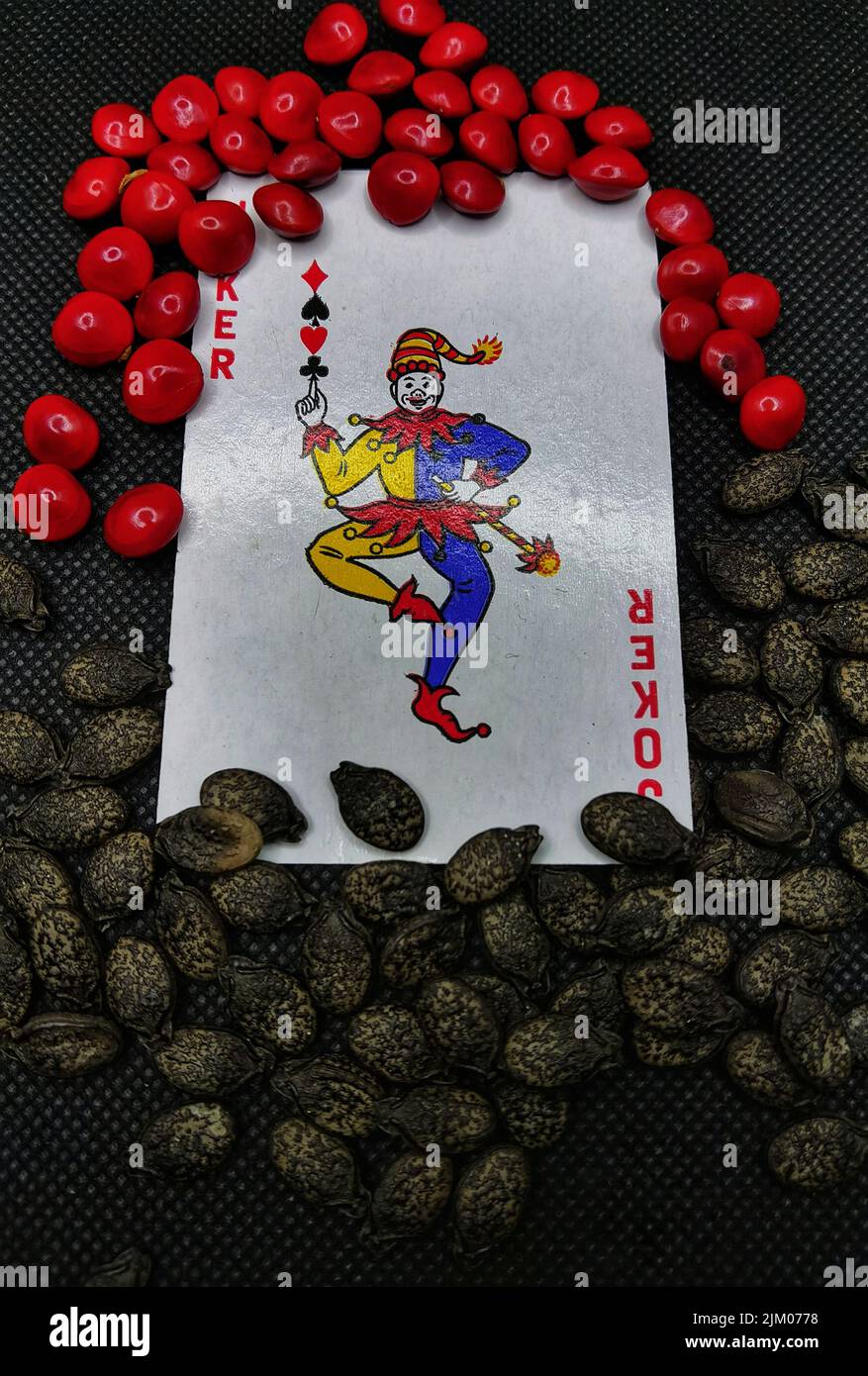 Eine vertikale Nahaufnahme von schwarzen und roten Samen auf einer Joker-Karte auf einer schwarzen Oberfläche Stockfoto