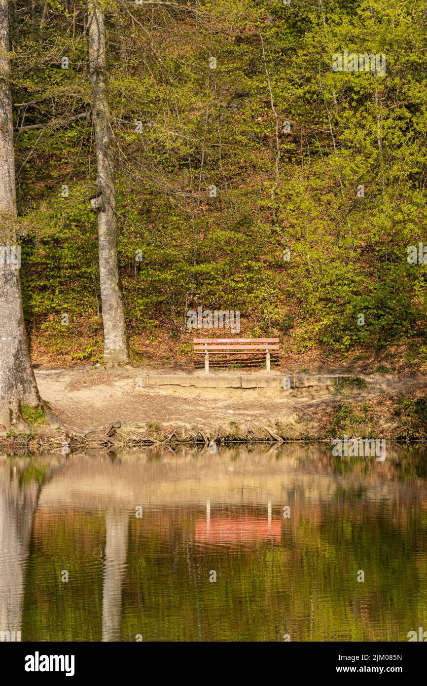 Eine schöne Aufnahme von Bank vor einem Teich mit Spiegelung von Bäumen