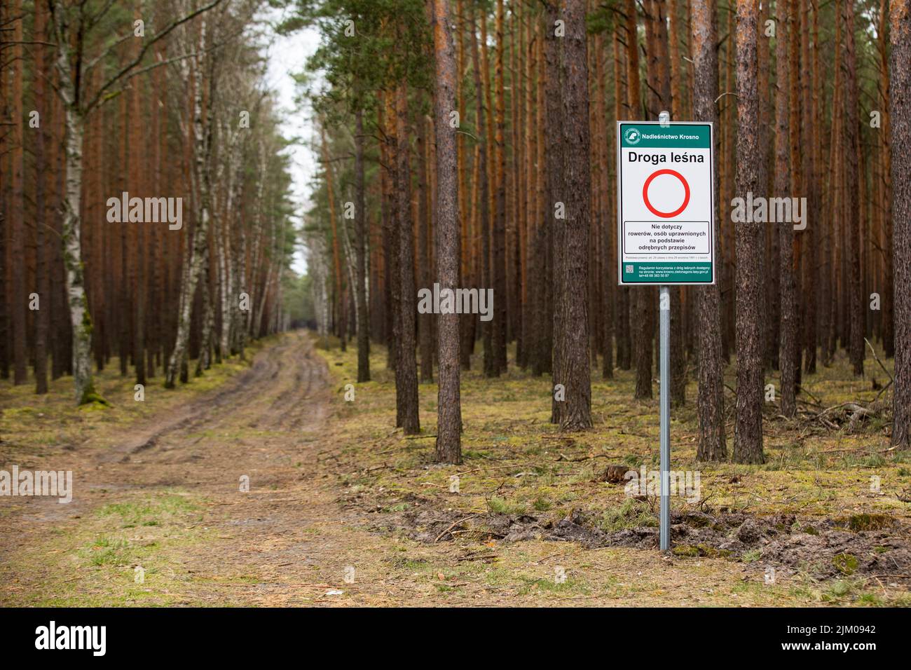 Lubusz -Fotos und -Bildmaterial in hoher Auflösung – Alamy