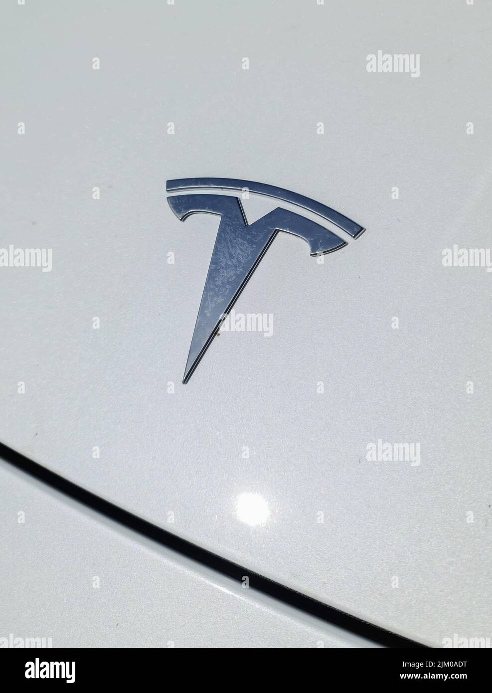 Ein Tesla-Logo auf der Motorhaube eines weißen Tesla-Fahrzeugs Stockfoto