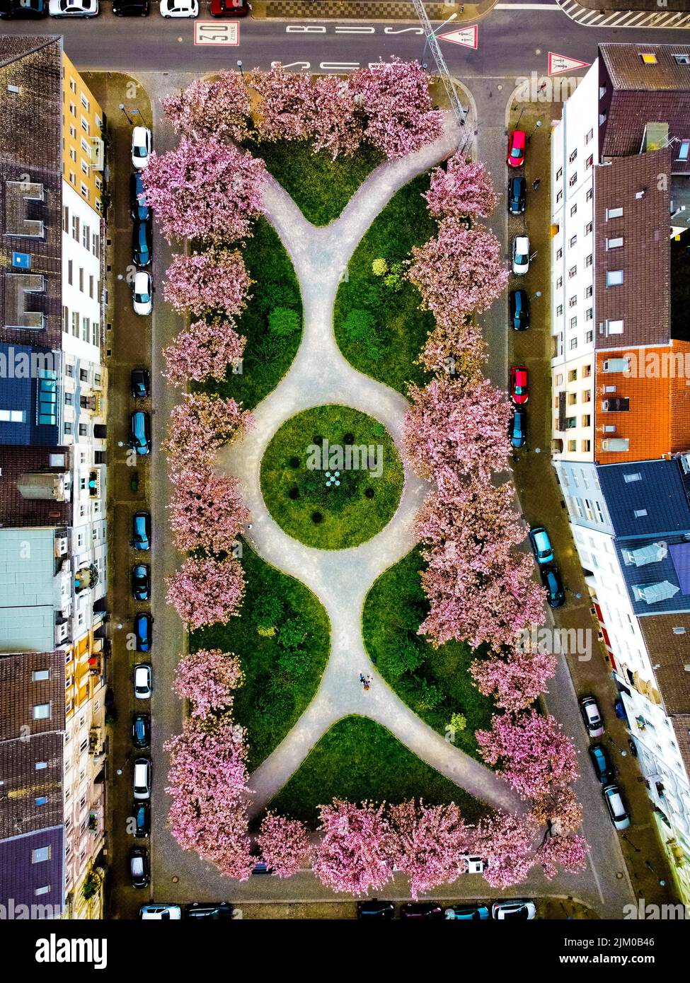 Die Luftaufnahme eines Stadtparks mit Landschaft-Design und rosa Bäumen Stockfoto