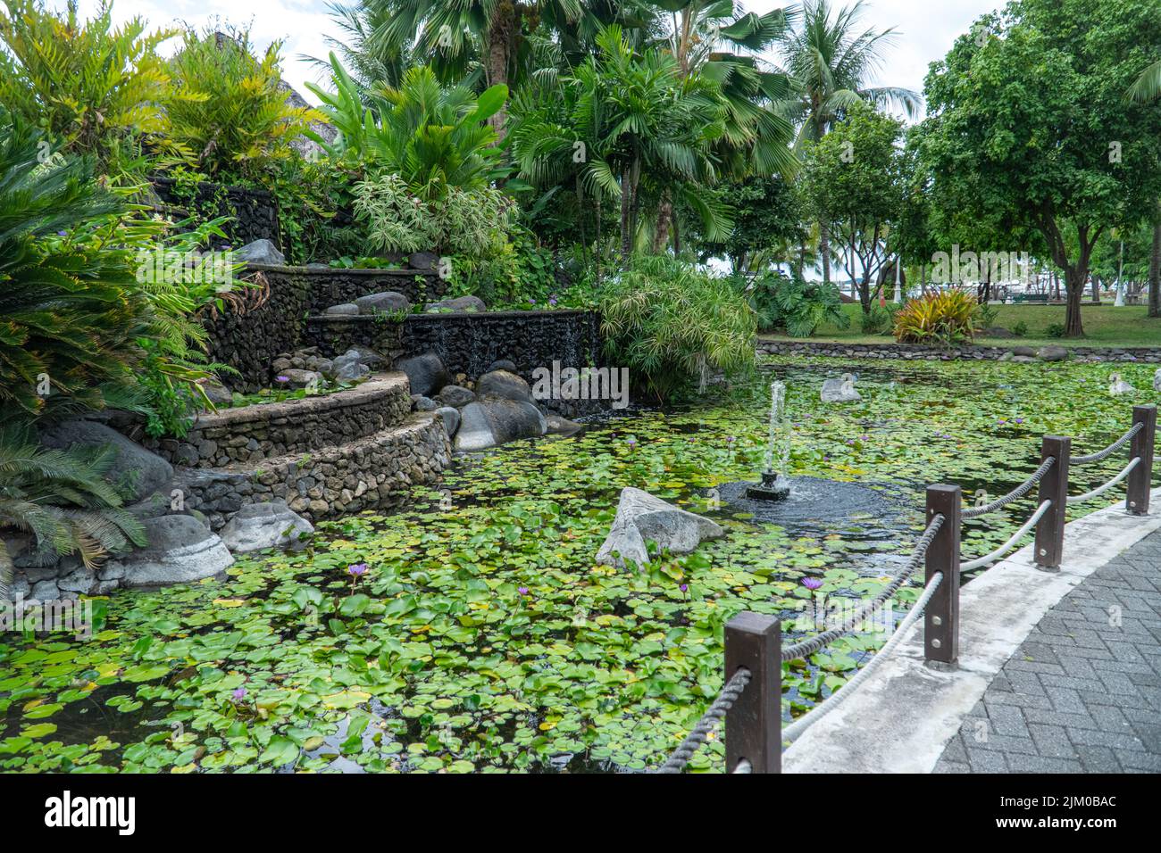 Ein Teich, der mit Seerosen bedeckt ist, auf der Insel Tahiti, Französisch-Polynesien Stockfoto