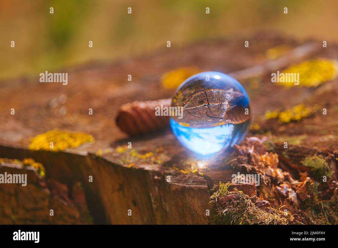 Nahaufnahme einer glänzenden Glaskugel im Thüringer Wald mit verschwommenem braunem Gras Stockfoto