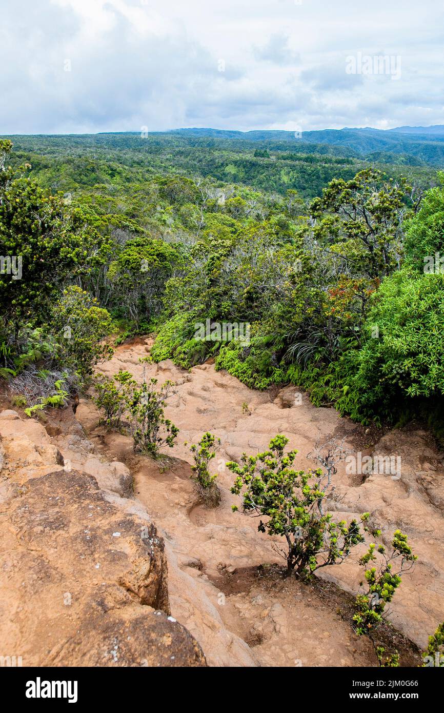 Kalalau Lookout nach der Fahrt zu den Waimea Canyon Lookout auf Kauai, entschied ich mich, bis zu der Kalalau Lookout fortzusetzen, während eq war Stockfoto