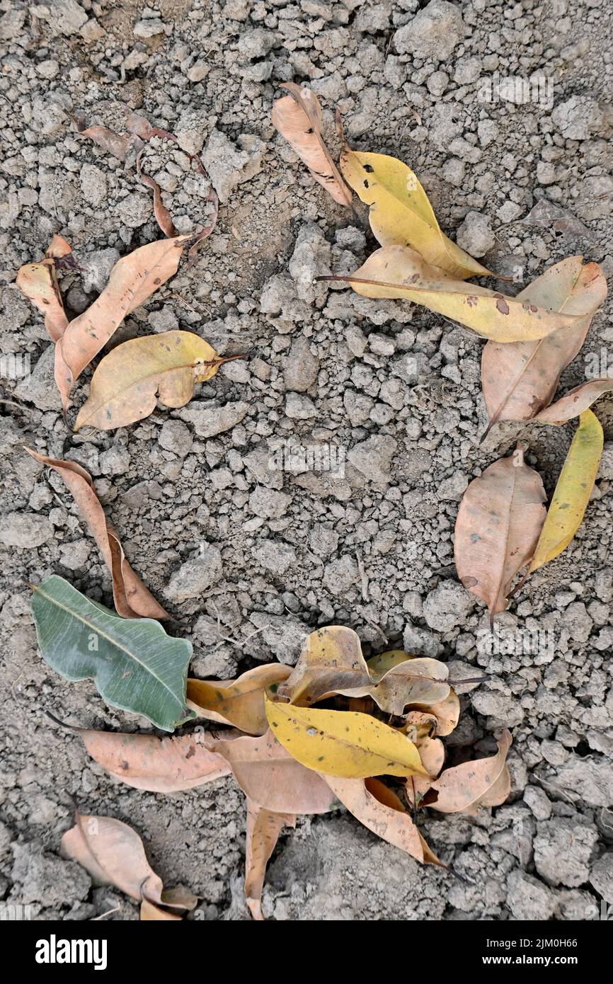 Nahaufnahme der Haufen gelb gebohrt Baum Blätter mit braunem Ton weichen Fokus natürlichen grau braunen Hintergrund. Stockfoto