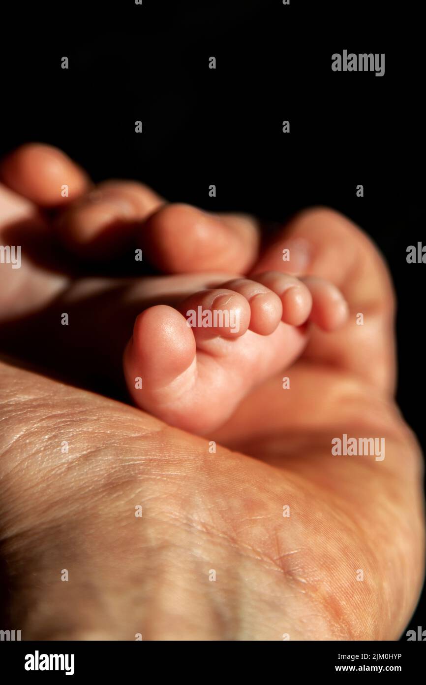 Ein Baby Fuß sanft durch eine Mann Hand halten Stockfoto