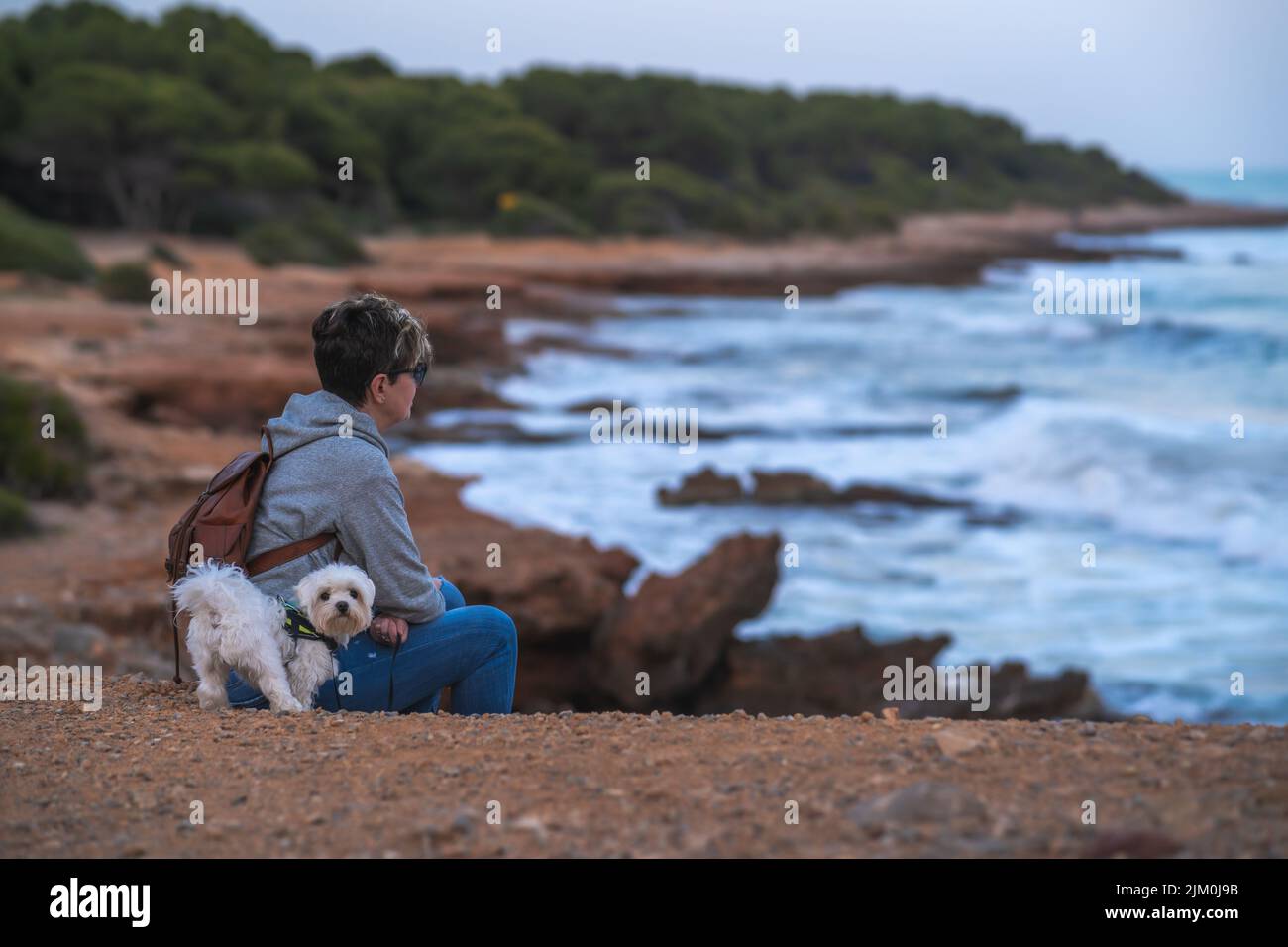 Eine junge Hündin mit ihrem maltesischen bichon, die eine tolle Zeit am Strand von Oropesa del mar in Castellon Spanien hat Stockfoto