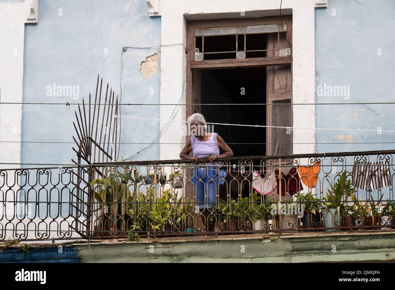 Eine ältere Dame, die aus ihrem Balkon in Kuba schaut Stockfoto