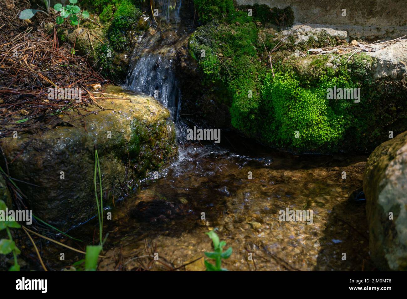 Süßwasserquelle im Berg mit moosbedeckten Steinen Stockfoto