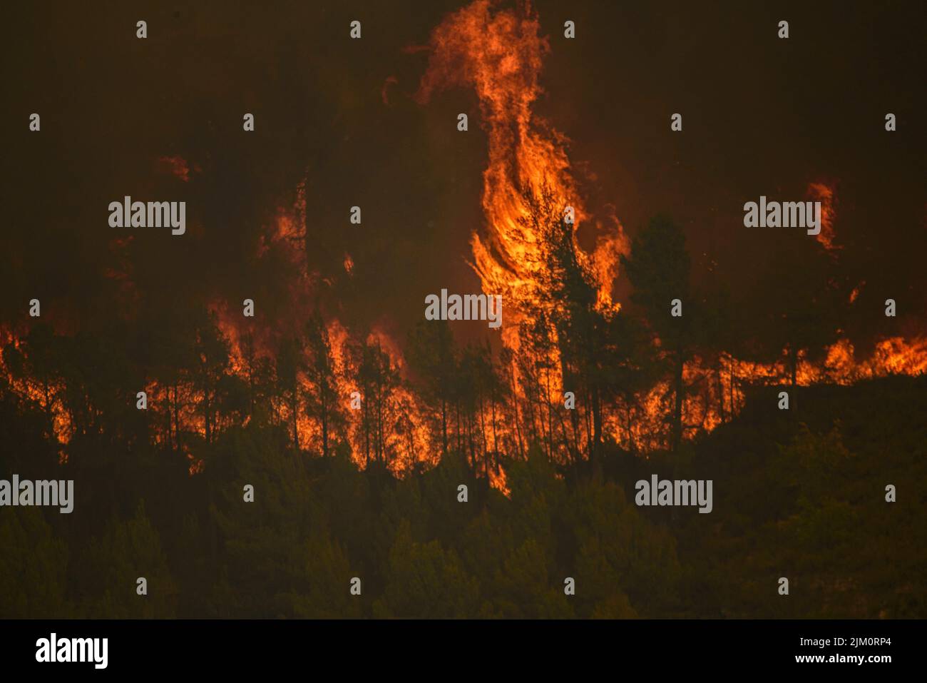 Waldbrand von El Pont de Vilomara am 17. Juli 2022, der 1.743 Hektar Vegetation verbrannte (Bages, Barcelona, Katalonien, Spanien) Stockfoto