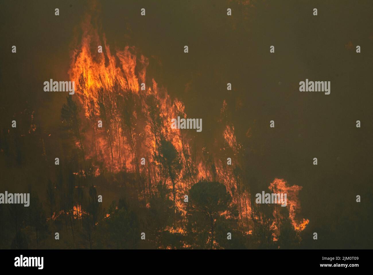 Waldbrand von El Pont de Vilomara am 17. Juli 2022, der 1.743 Hektar Vegetation verbrannte (Bages, Barcelona, Katalonien, Spanien) Stockfoto