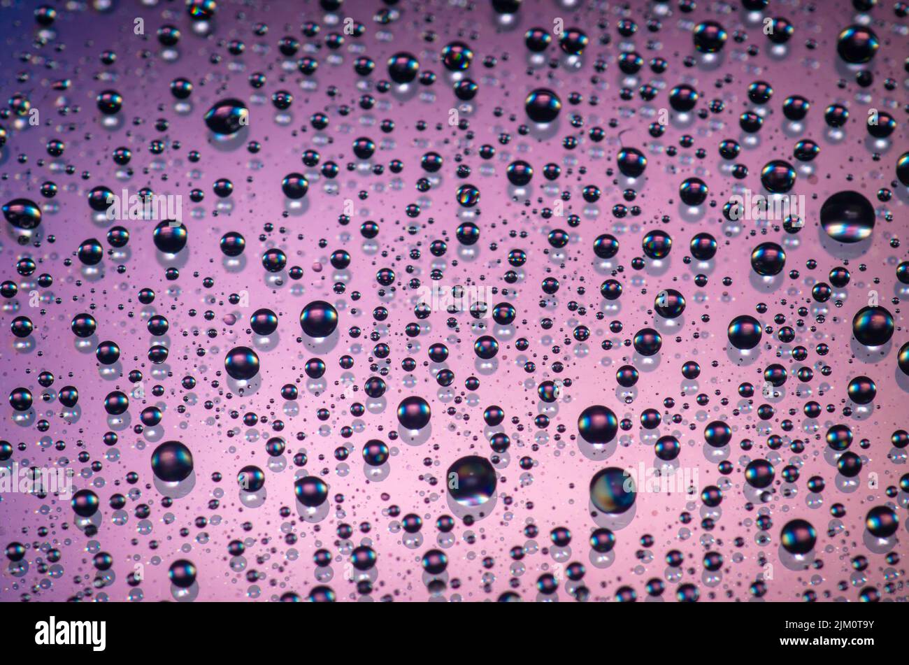 Eine Makroaufnahme von Wassertropfen auf einer violetten Oberfläche Stockfoto