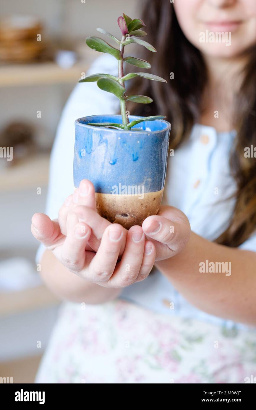 Umweltschutz Umwelt Ökologie Flora Pflanze Stockfoto