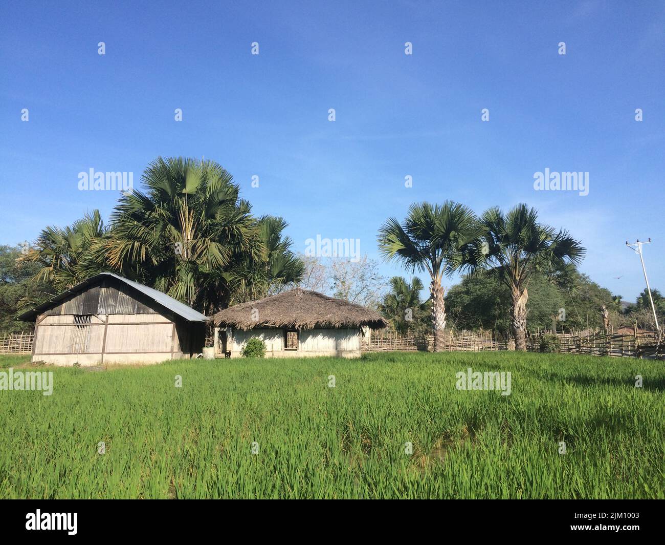 Eine grüne Wiese mit ländlichen Häusern an einem sonnigen Morgen Stockfoto