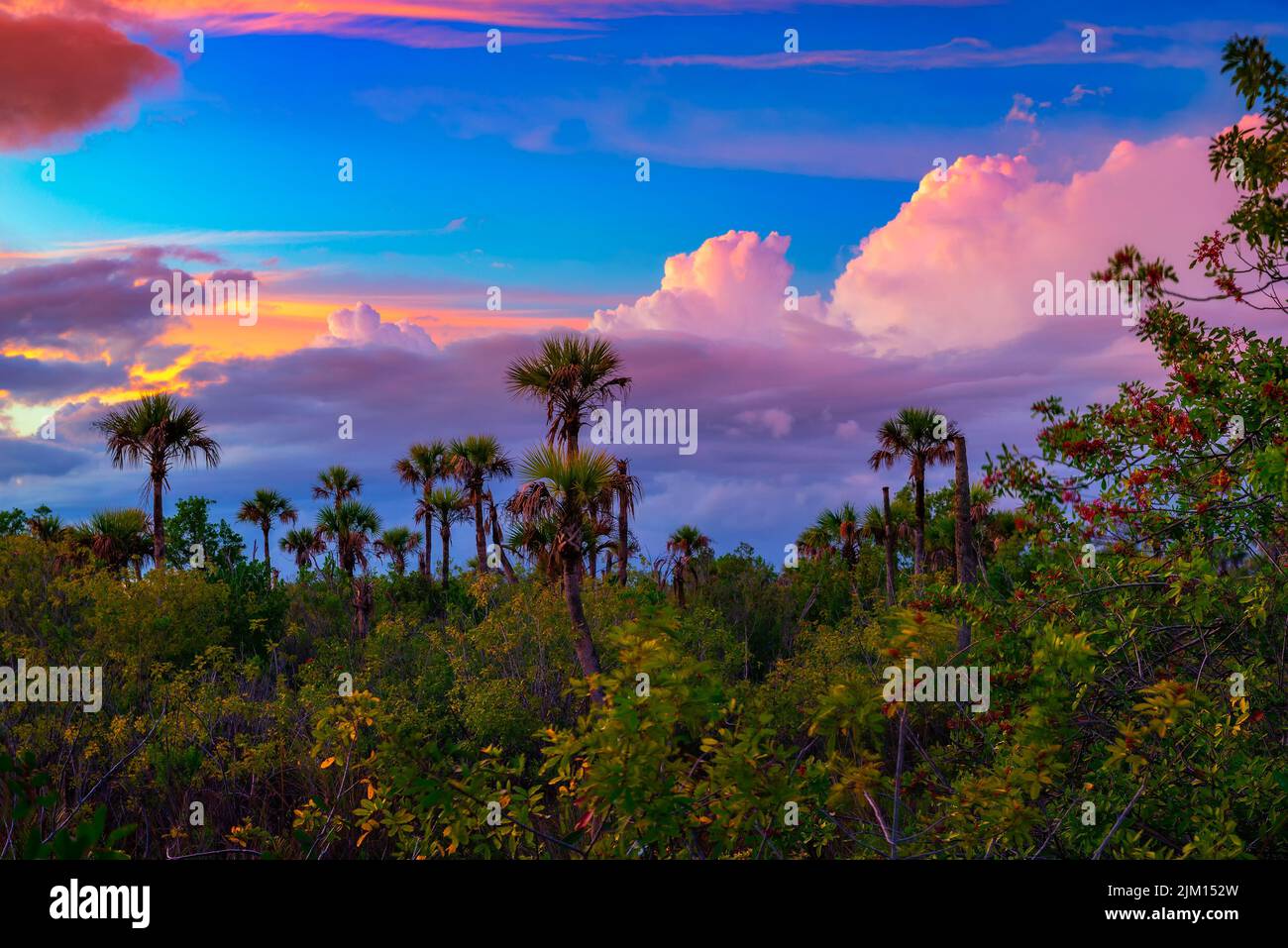 Farbenfroher Sonnenuntergang über dem Everglades National Park in Florida Stockfoto