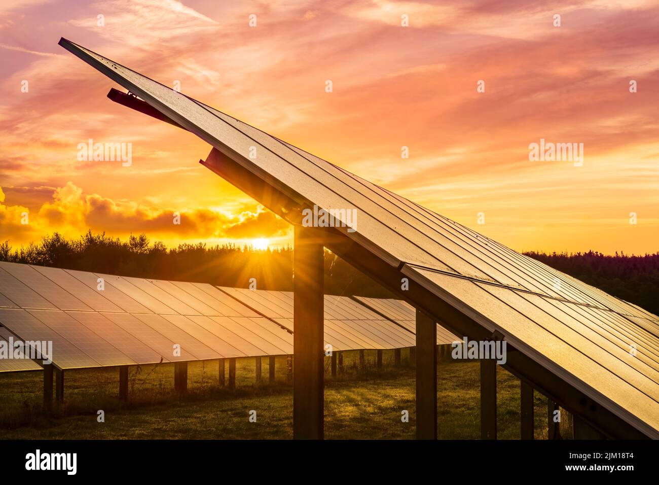 Die Sonne geht hinter einer Reihe von Solarmodulen auf einem kleinen Solarpark in Devon, England, auf. Stockfoto