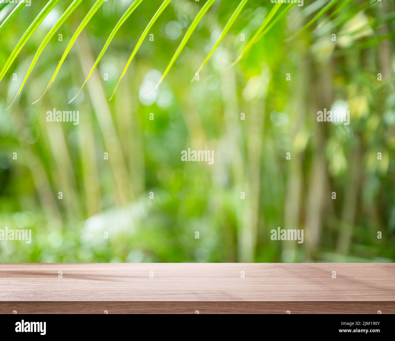 Leere Tafel oder Tischplatte und verschwommene grüne Bambushalme. Platz für die Produktanzeige. Stockfoto