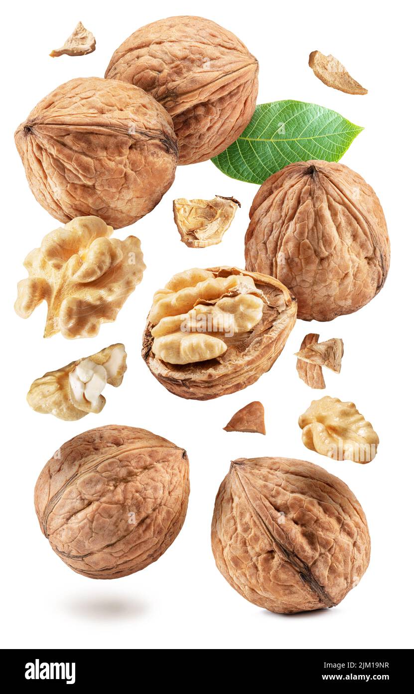 Set aus ganzen Walnüssen, Walnusskern und rissiger Walnuss, die in der Luft auf weißem Hintergrund fliegen. Beschneidungspfade. Stockfoto