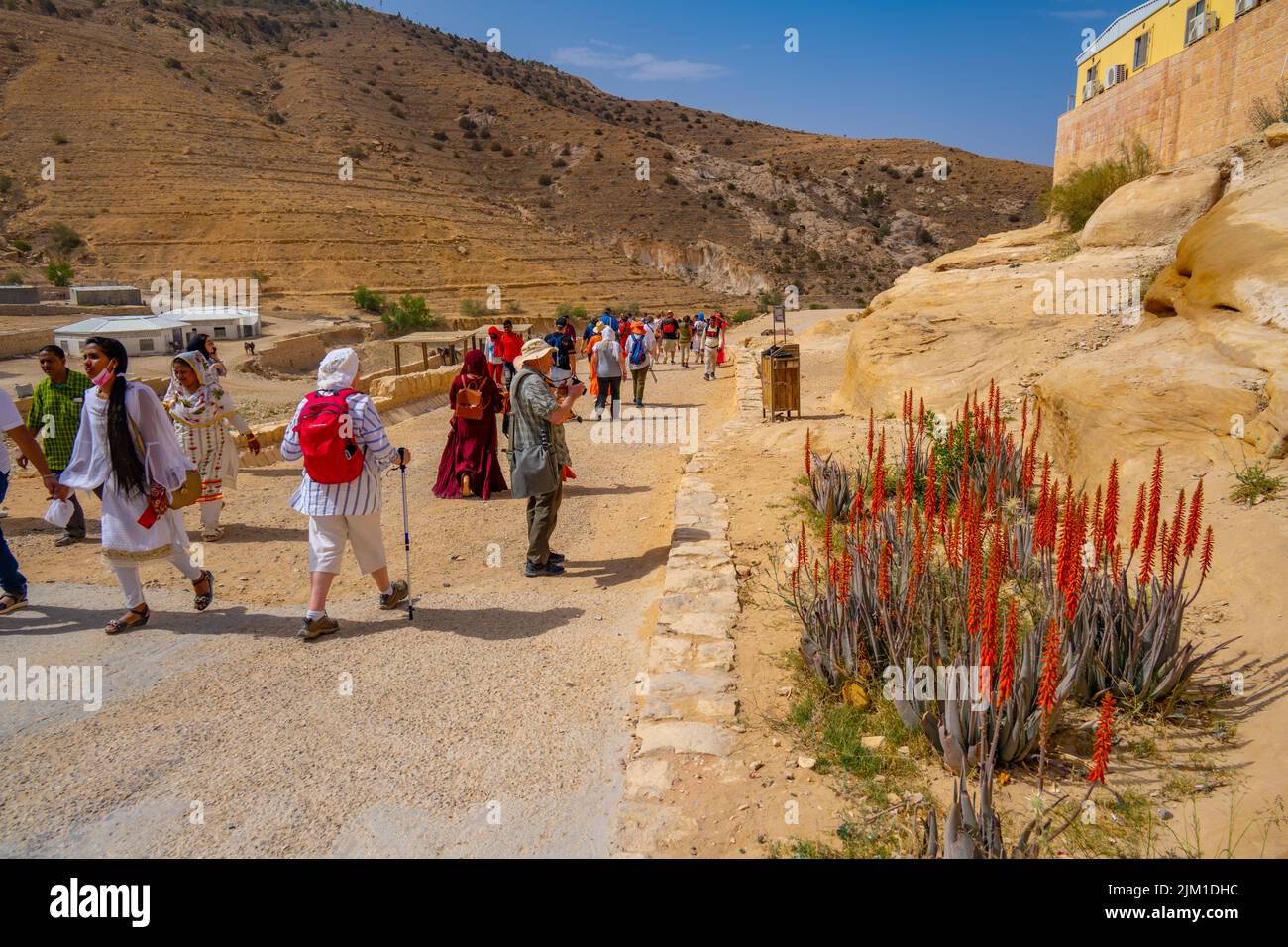 Menschenmassen, die die Eingangsstraße nach Al-Siq und Petra im Wadi Musa Jordan mit wilden Aloe Vera Pflanzen im Vordergrund entlang gehen Stockfoto