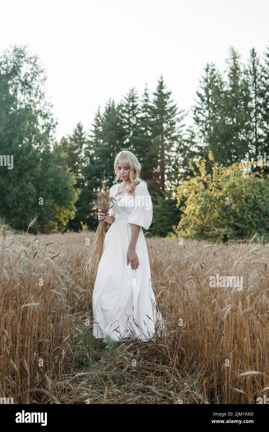 Eine blonde Frau in einem langen weißen Kleid geht in einem Weizenfeld. Das Konzept einer Hochzeit und Spaziergang in der Natur. Stockfoto