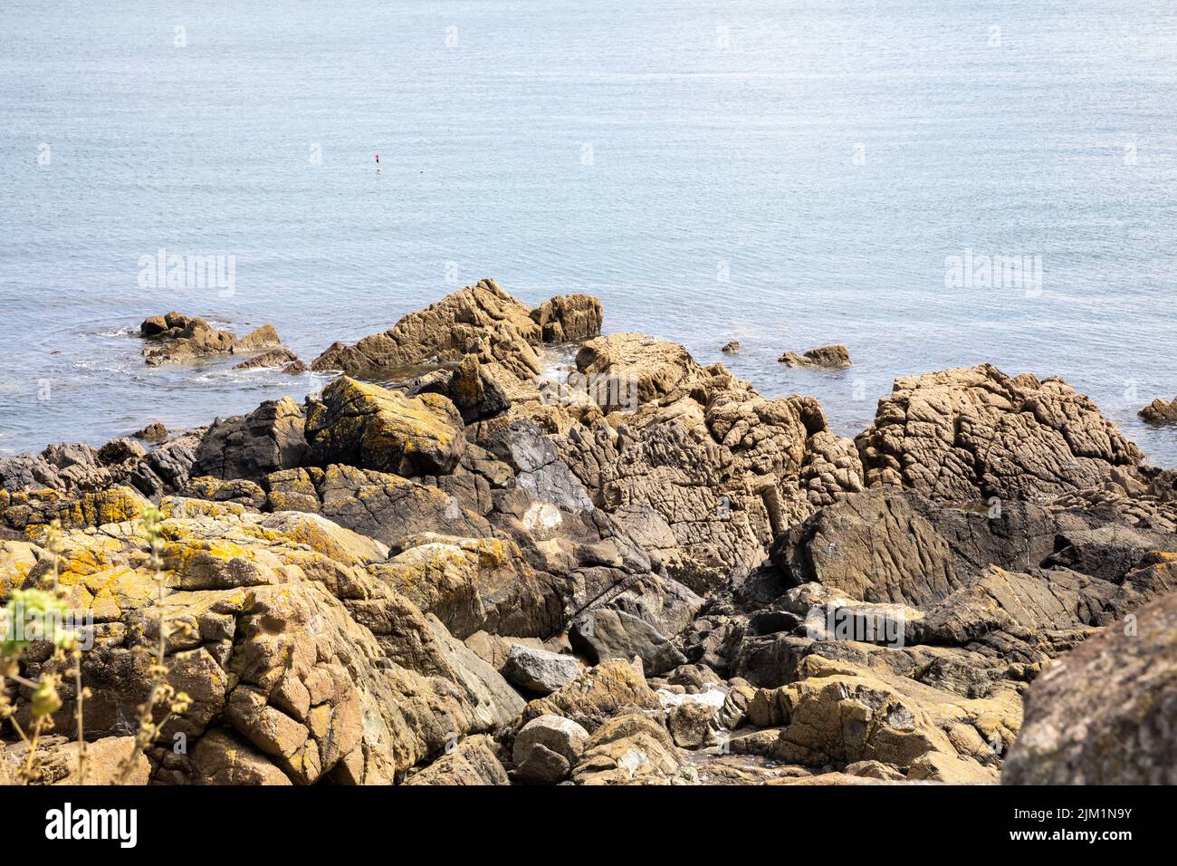 Ein Blick über die Felsen in Coverack Bay, Cornwall, Großbritannien Stockfoto