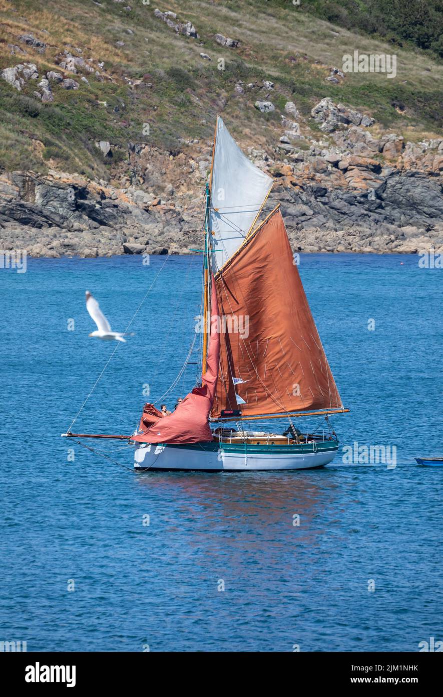 Eine Yacht segelt in Coverack, Cornwall, UK Stockfoto
