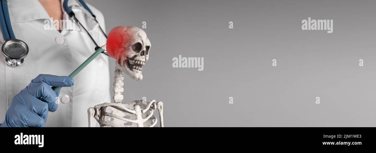 Banner mit Arzthand, die auf den Skelett-Schädel mit rotem Punkt zeigt. Neuralgie, Kopfschmerzen. Anatomie des Skelettsystems, medizinisches Bildungskonzept. Speicherplatz kopieren. Hochwertige Fotos Stockfoto