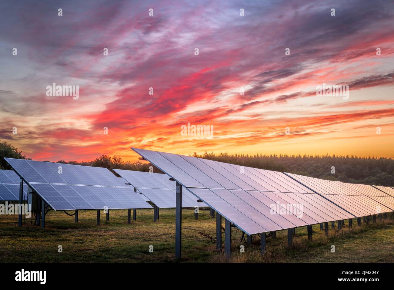 Die Sonne geht hinter einer Reihe von Solarmodulen auf einem kleinen Solarpark in Devon, England, auf. Stockfoto